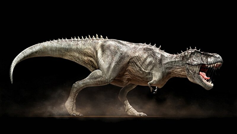 Tyrannosaurus Rex — Gray, Dramatic, 3d Render, Dinosaur