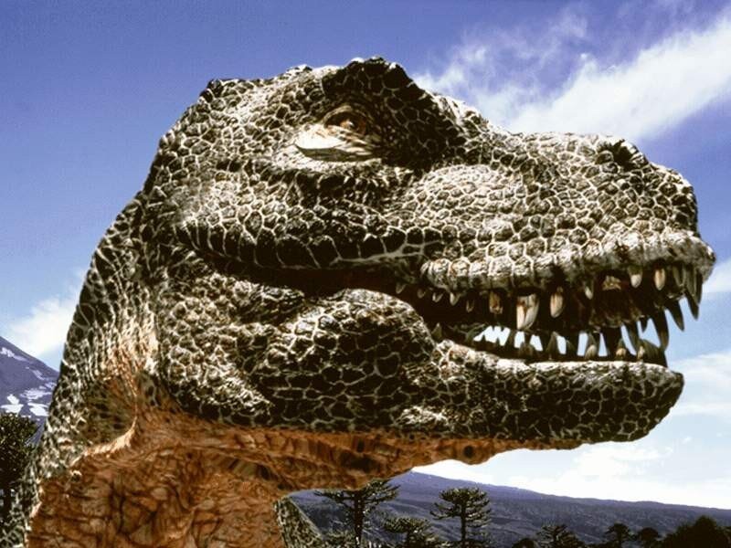 Tyrannosaurus Rex head