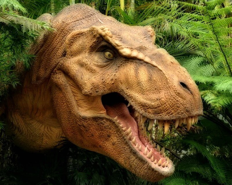 Tyrannosaurus Rex Head — Brown
