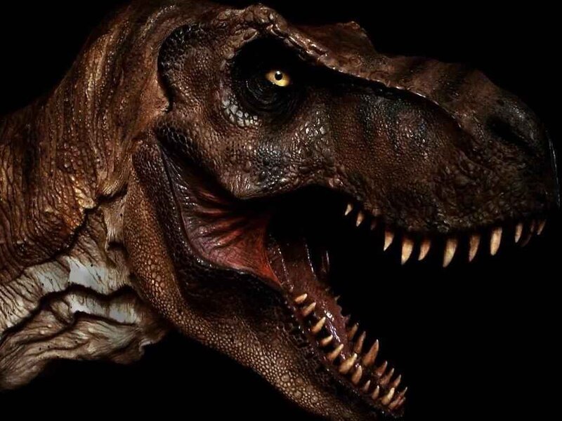 Tyrannosaurus Rex head close-up