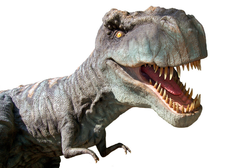 Tyrannosaurus Rex Head — Gray, Aggressive