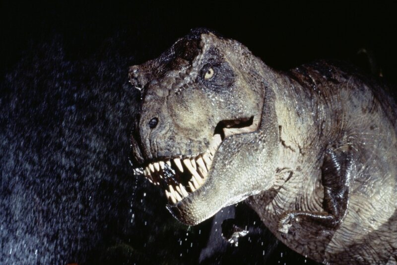 Tyrannosaurus Rex Head — Gray, Dramatic