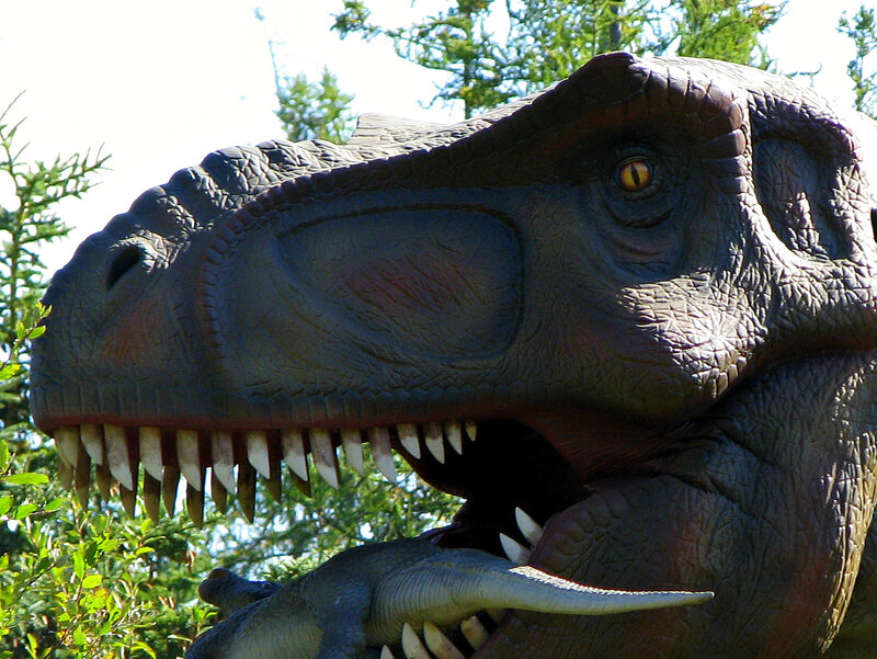 Tyrannosaurus Rex Head — Gray, Intense
