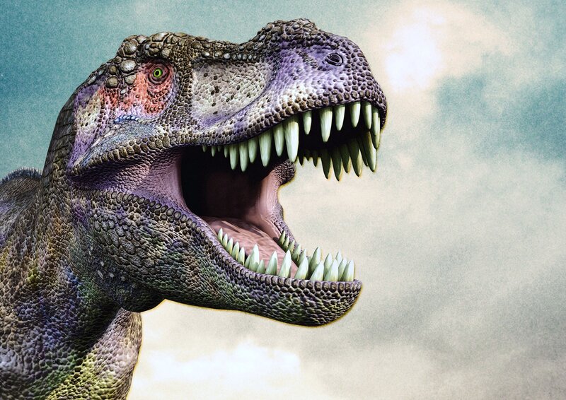 Tyrannosaurus Rex Head — Green