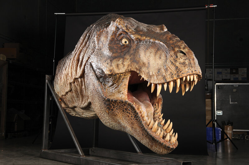 Tyrannosaurus Rex head model