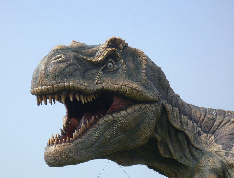 Tyrannosaurus Rex head sculpture