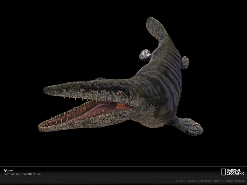 Tyrannosaurus rex illustration