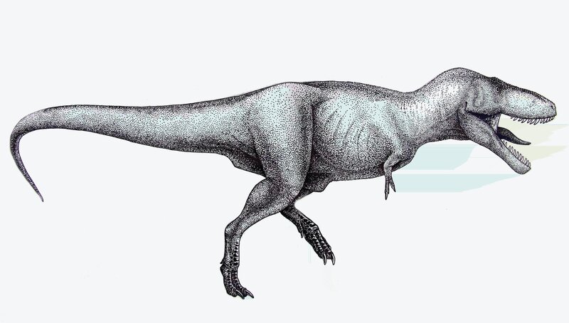 Tyrannosaurus rex illustration