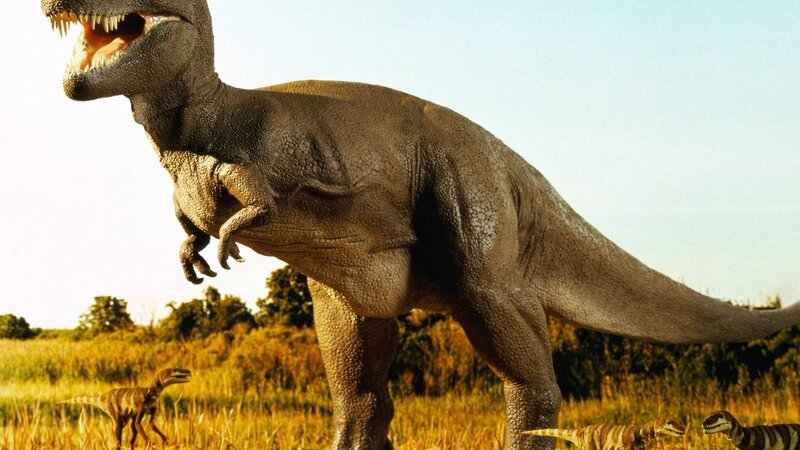 Tyrannosaurus rex in a field