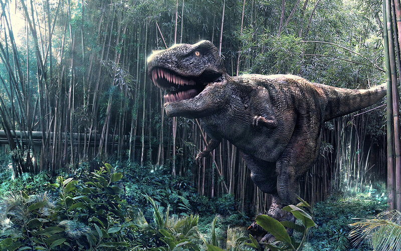 Tyrannosaurus rex in bamboo forest