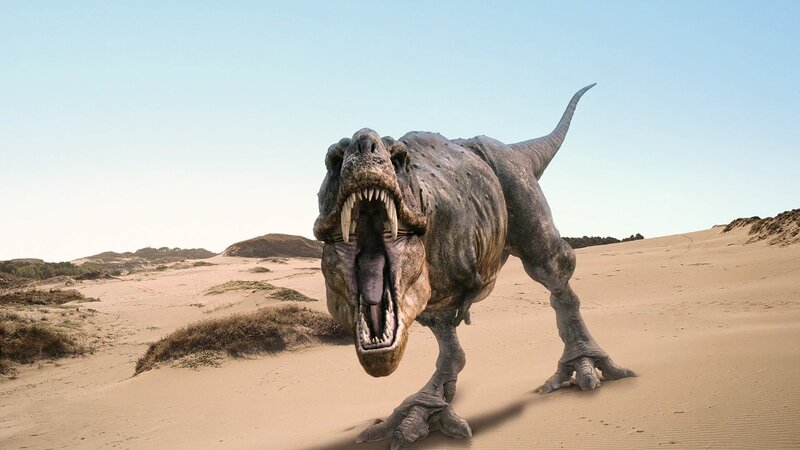 Tyrannosaurus Rex in Desert — Brown, Dramatic