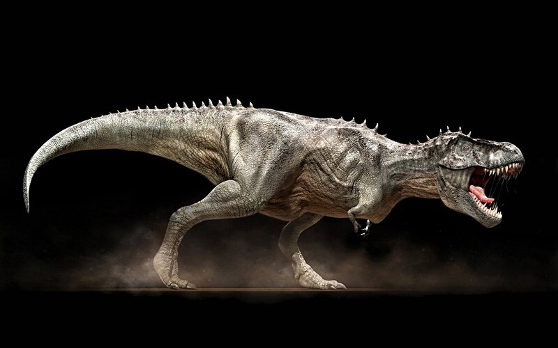 Tyrannosaurus rex in motion