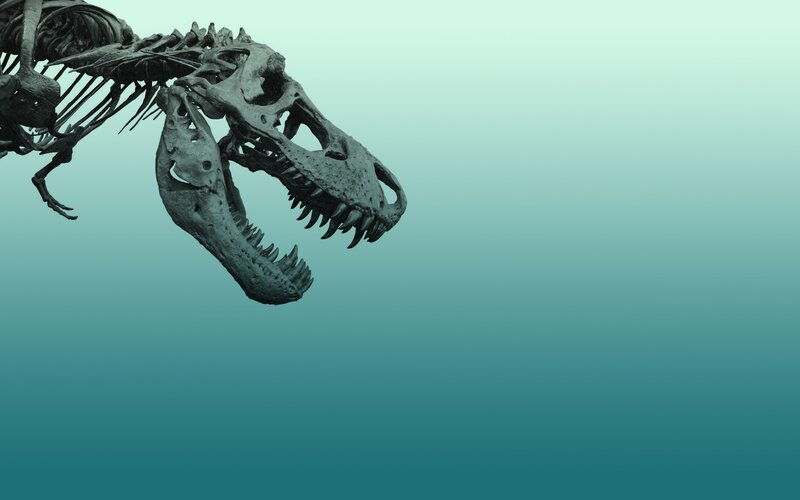 Tyrannosaurus Rex skeleton