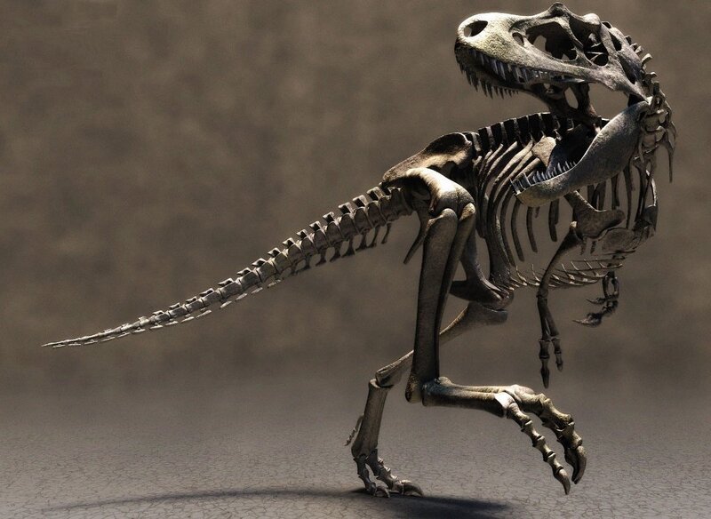 Tyrannosaurus Rex skeleton