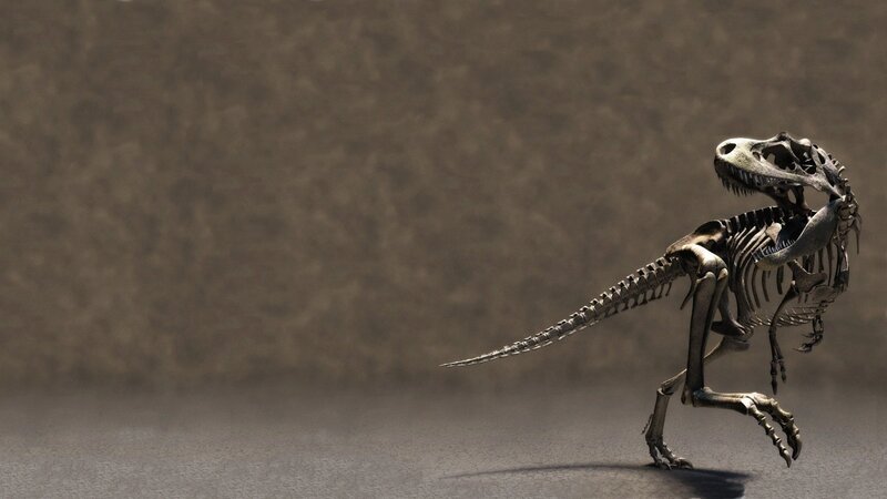 Tyrannosaurus Rex skeleton