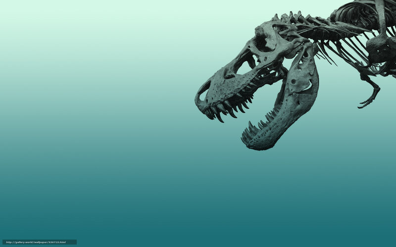 Tyrannosaurus Rex Skeleton — Teal, Dramatic, Photograph, Bones