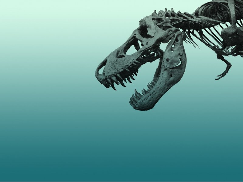 Tyrannosaurus Rex Skeleton — Teal, Dramatic