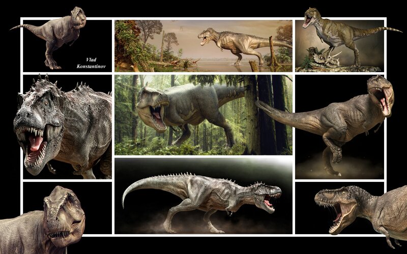 Tyrannosaurus Rex