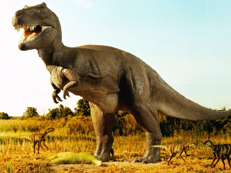 Tyrannosaurus rex with smaller dinosaurs