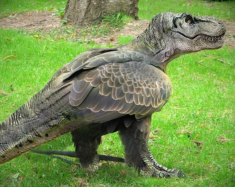 Tyrannosaurus with feathers