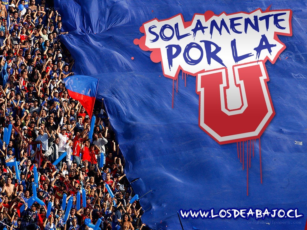 U fans at a stadium
