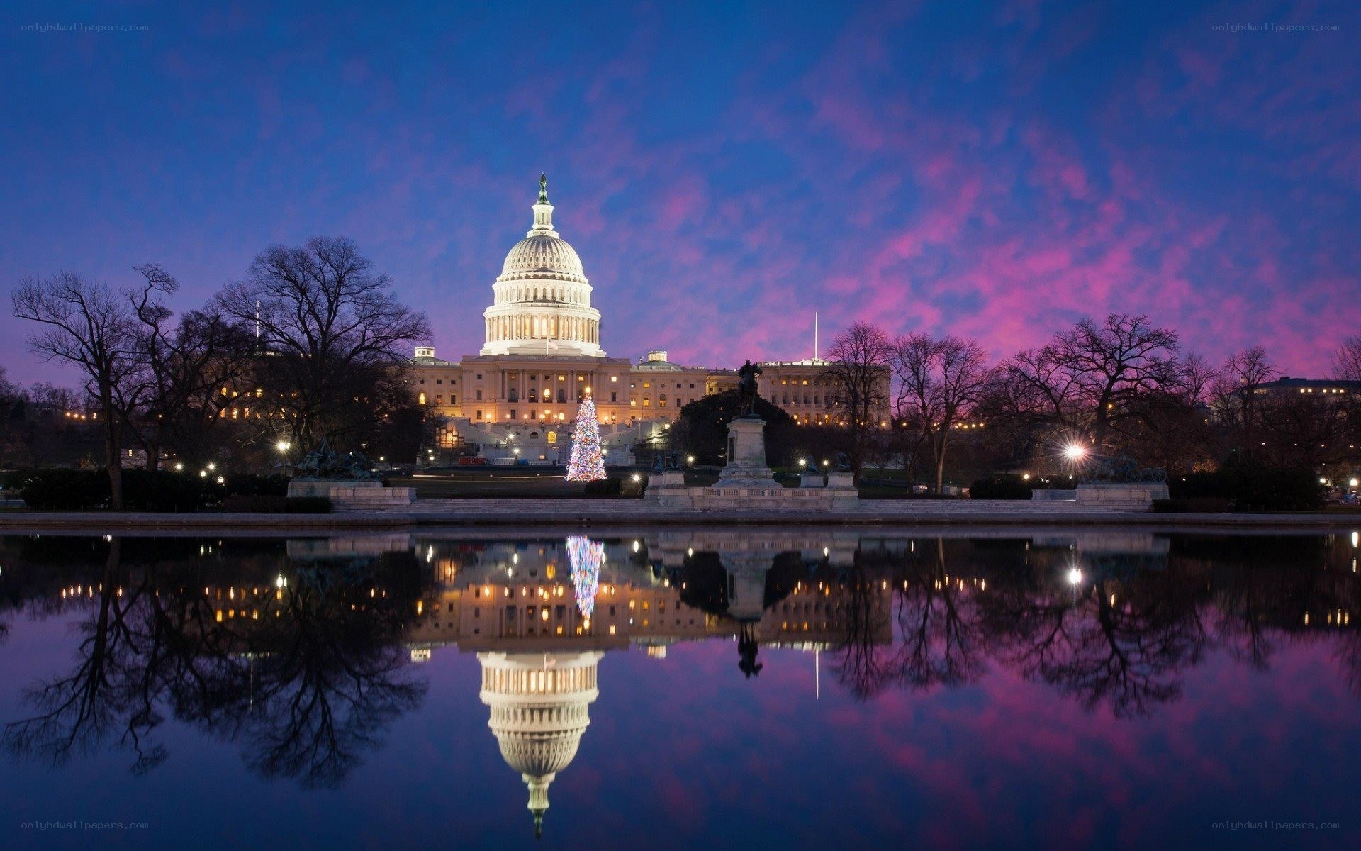 U.S. Capitol at dusk