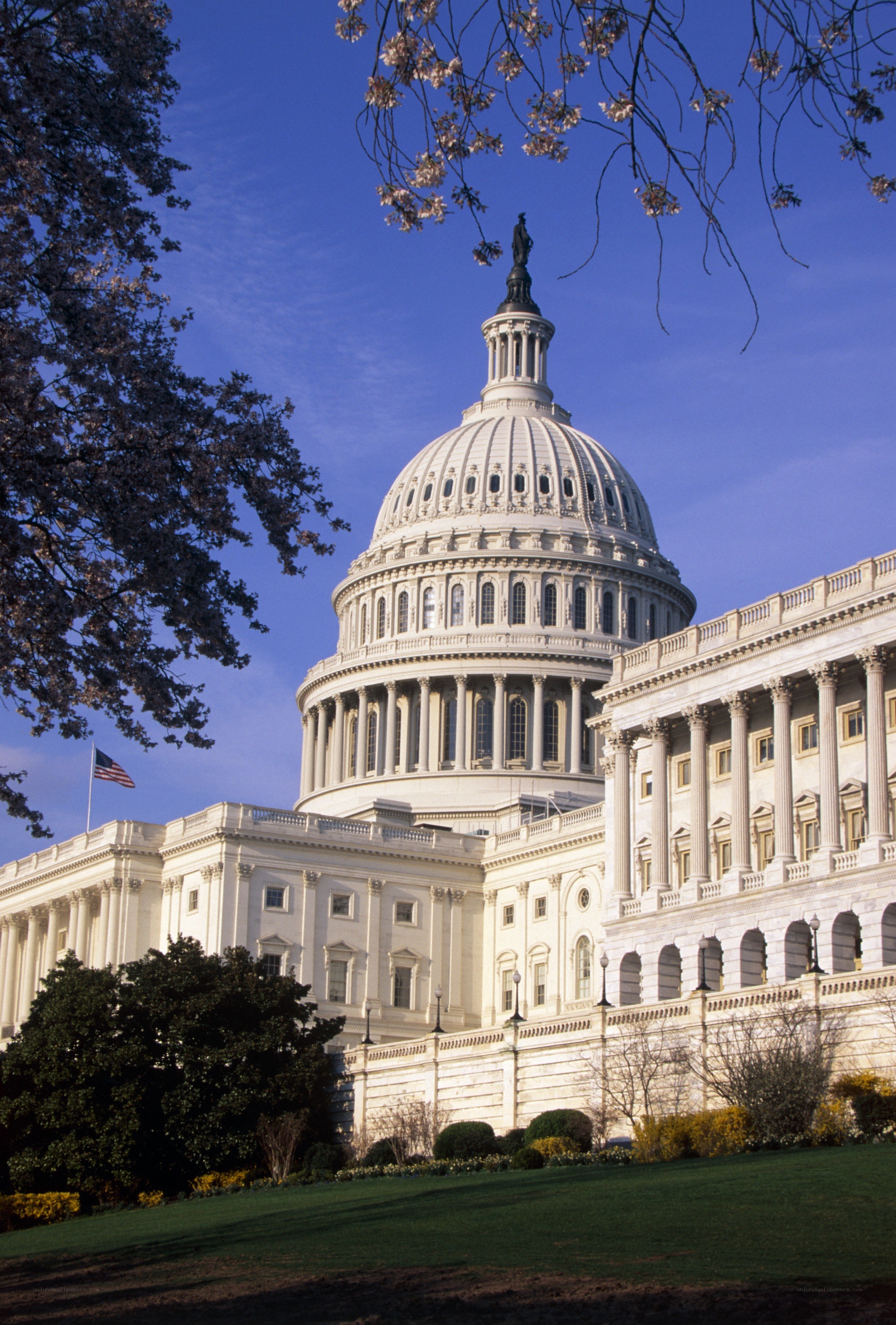 U.S. Capitol Building