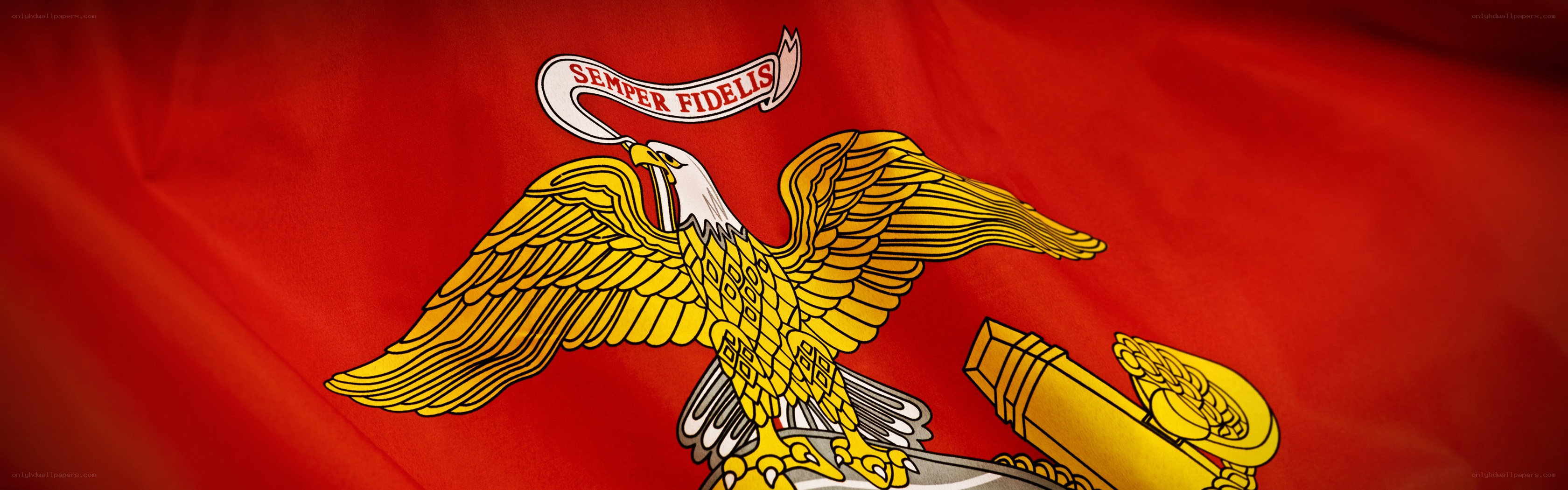 U.S. Marine Corps emblem on flag