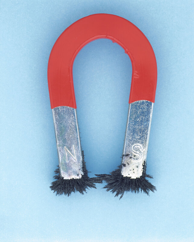 U-shaped magnet with iron filings
