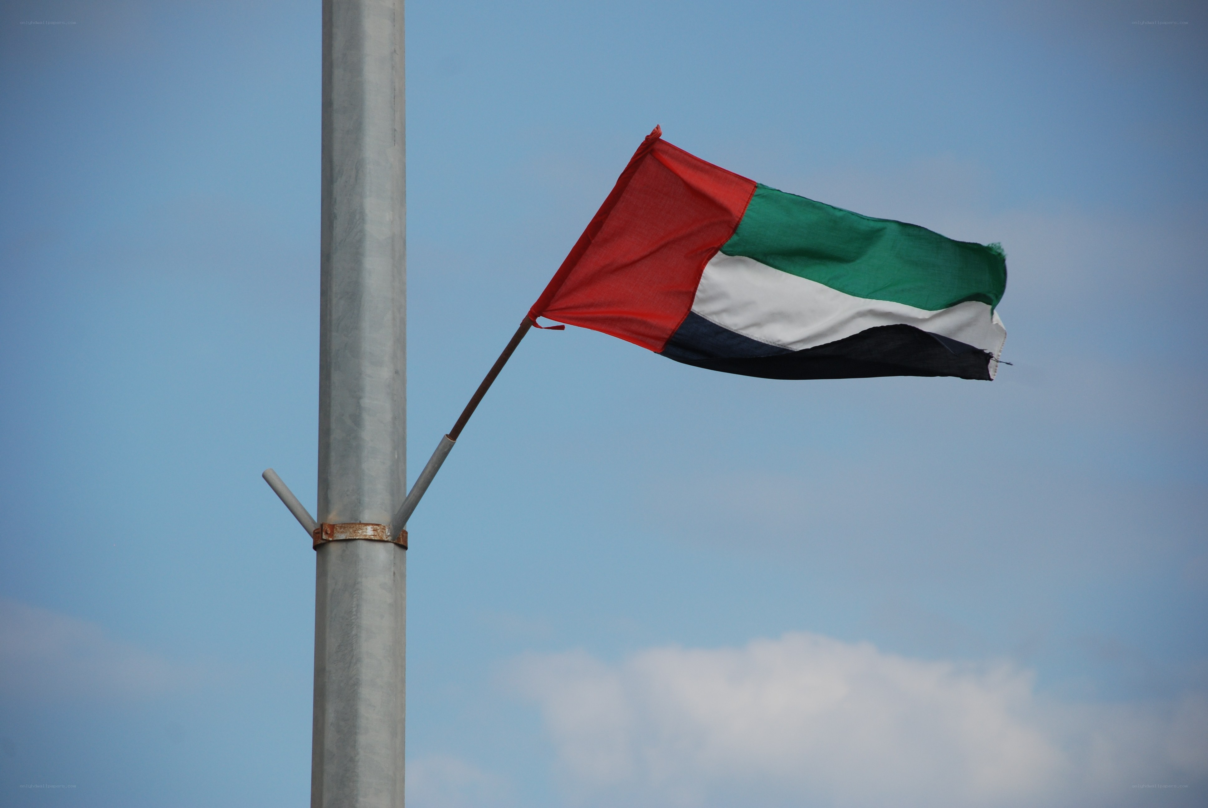 UAE flag waving in the wind