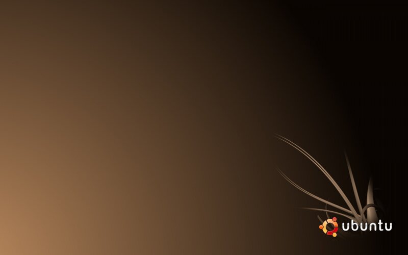 Ubuntu desktop background