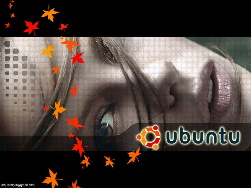 Ubuntu desktop with autumn leaves