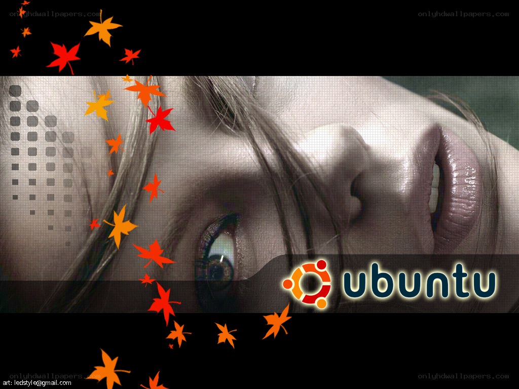 Ubuntu desktop with autumn leaves