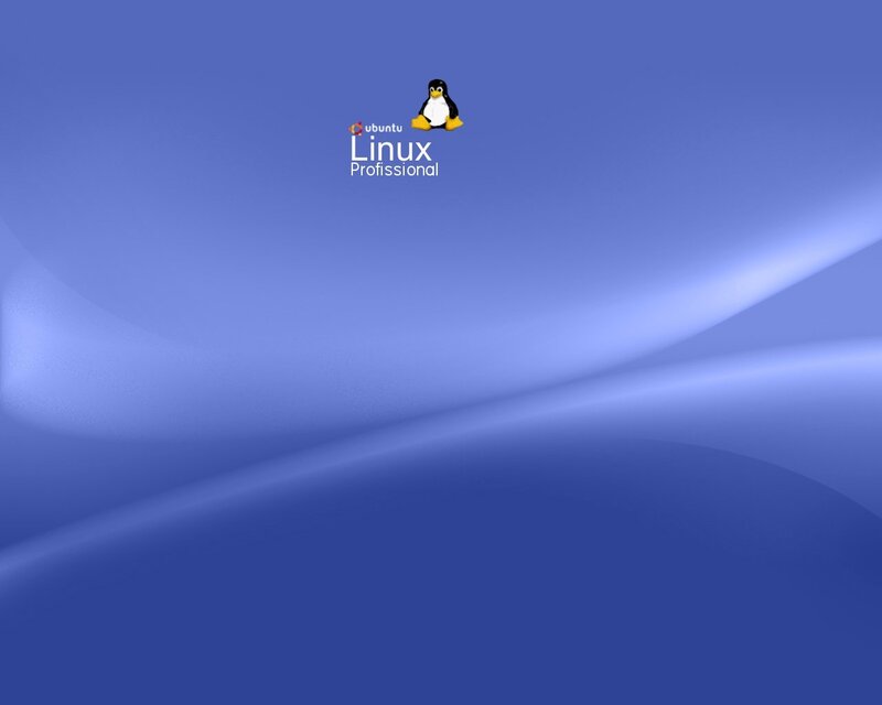 Ubuntu Linux Professional desktop