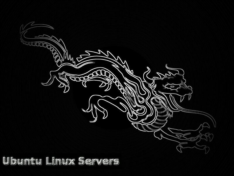 Ubuntu Linux Server Dragon