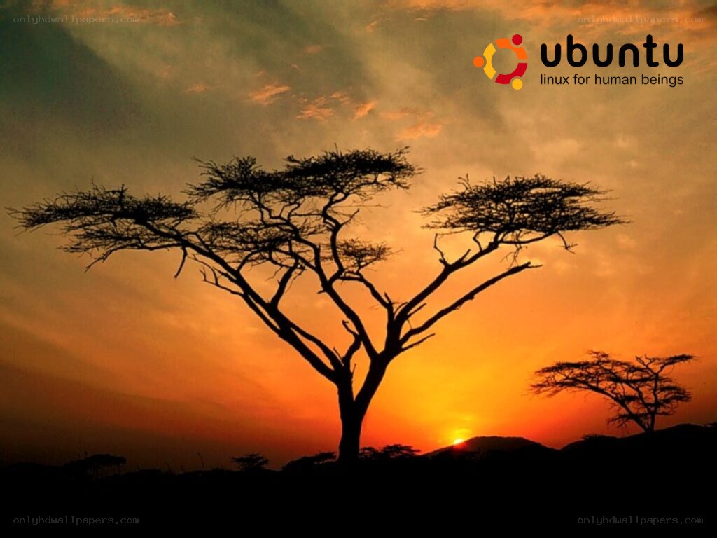 Ubuntu logo at sunset