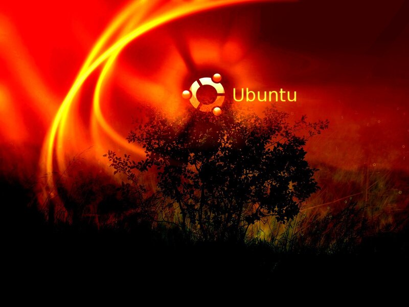 Ubuntu Logo on Bush