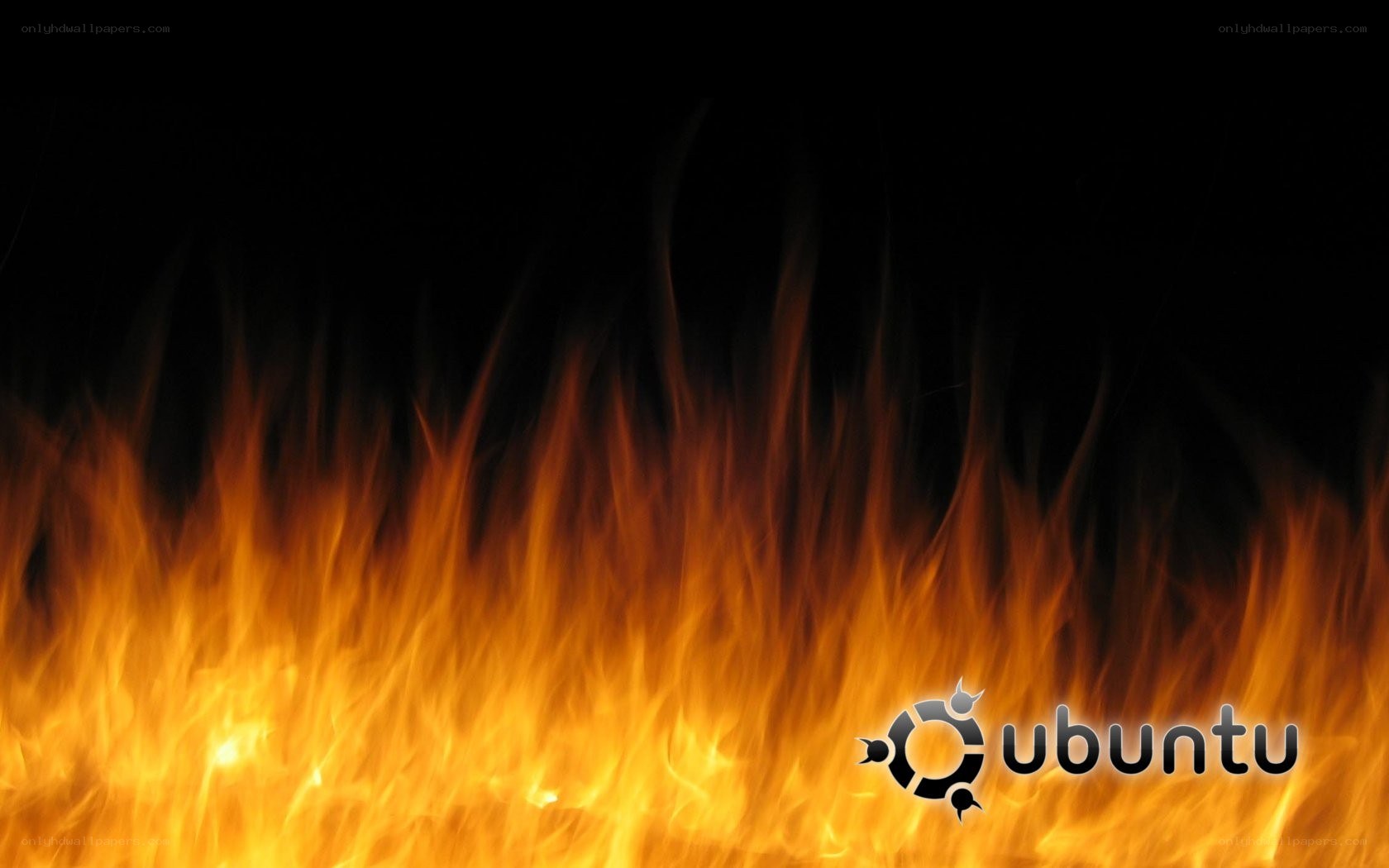Ubuntu logo on fire