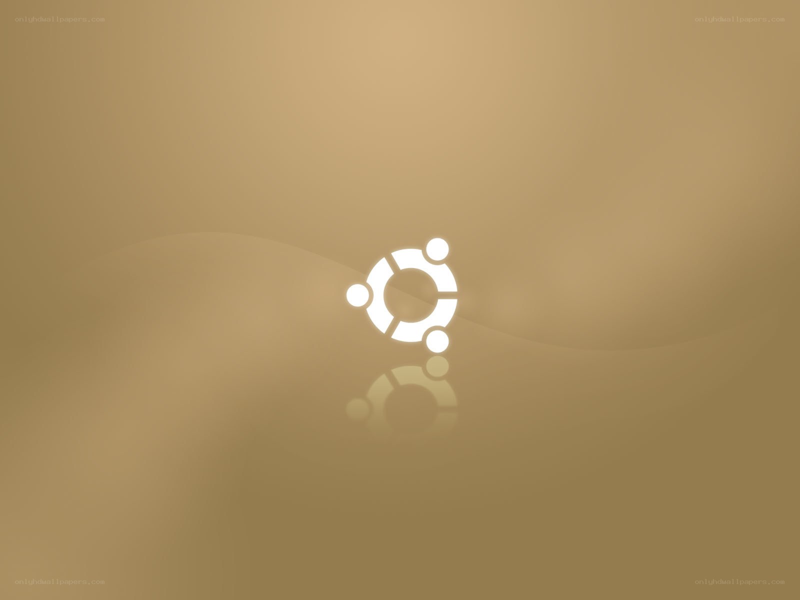Ubuntu logo on golden background