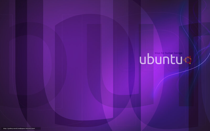 Ubuntu Logo on Purple Background — Calm