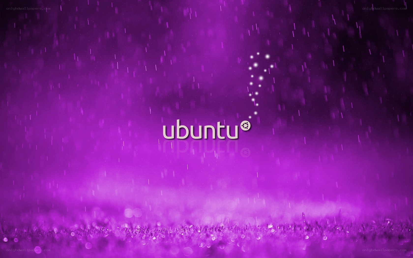 Ubuntu logo on purple rain