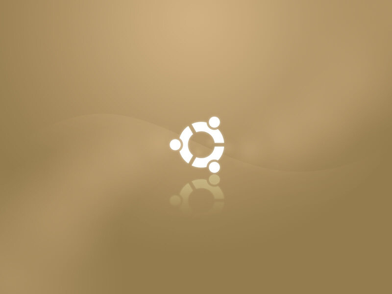 Ubuntu Logo on Surface — Brown
