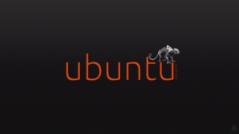 Ubuntu Logo with Chameleon