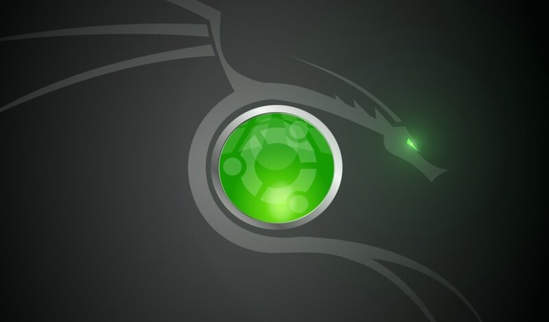 Ubuntu logo with dragon