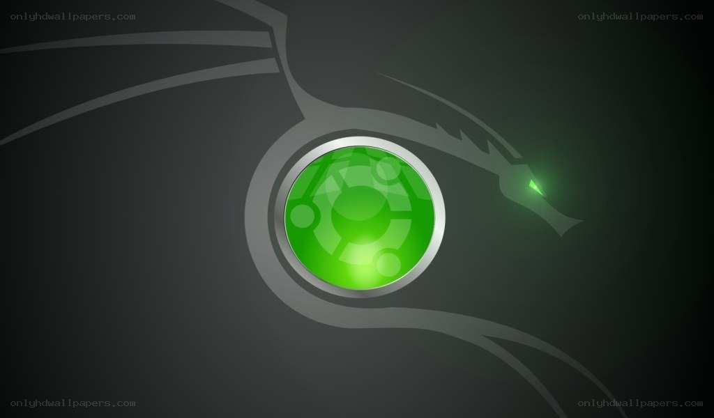 Ubuntu logo with dragon