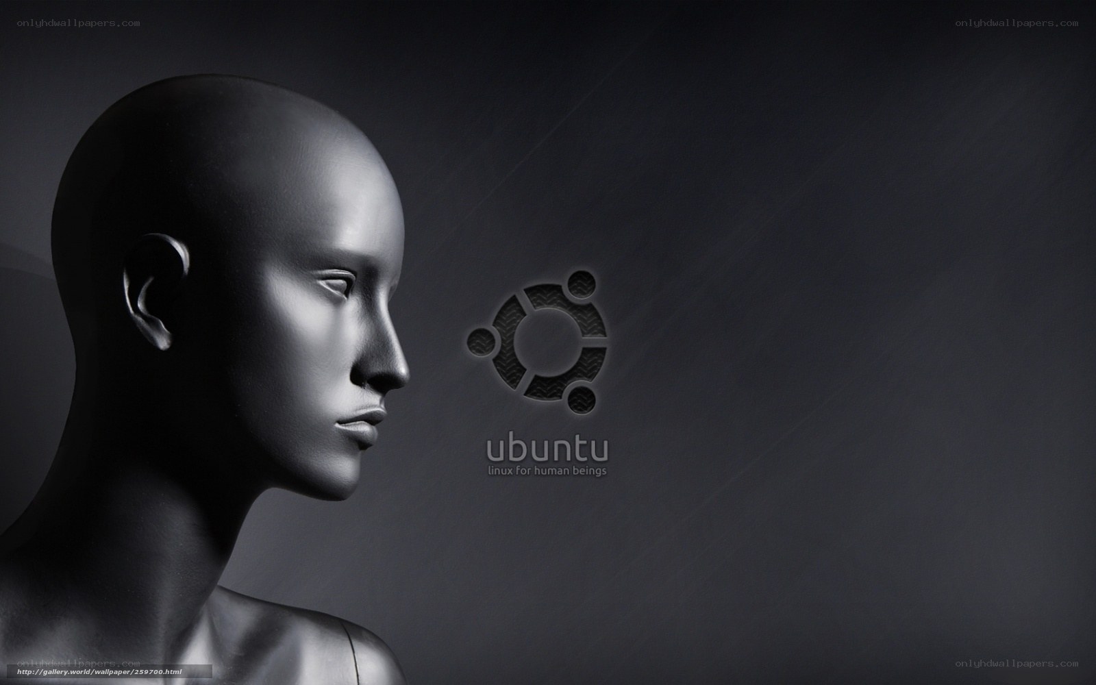 Ubuntu logo with mannequin