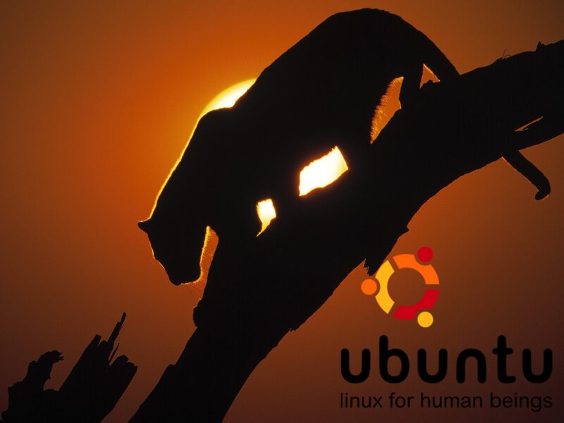 Ubuntu logo with panther silhouette