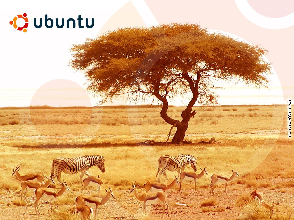 Ubuntu logo with wildlife scene