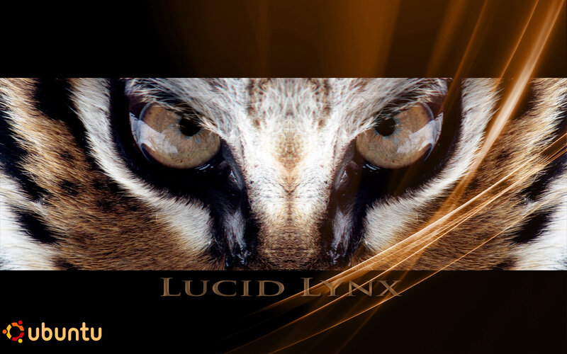 Ubuntu Lucid Lynx logo