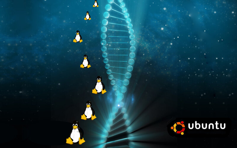 Ubuntu penguin DNA